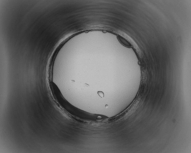 X0000086801043200705111831