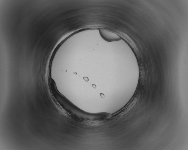 X0000086801044200705111831