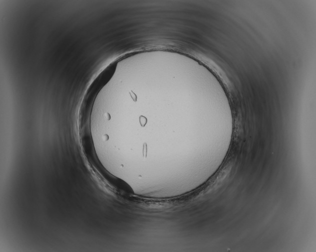 X0000086801047200705111831