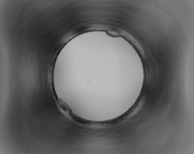 X0000086801049200705111831