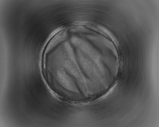 X0000086801050200705111831