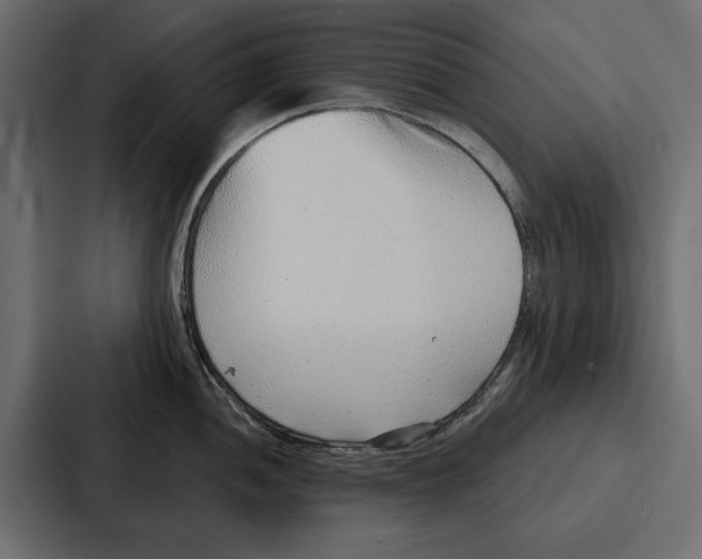 X0000086801052200705111831