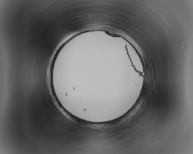 X0000086801053200705111831