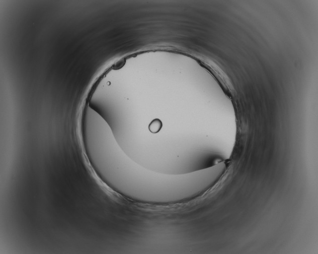 X0000086801054200705111831