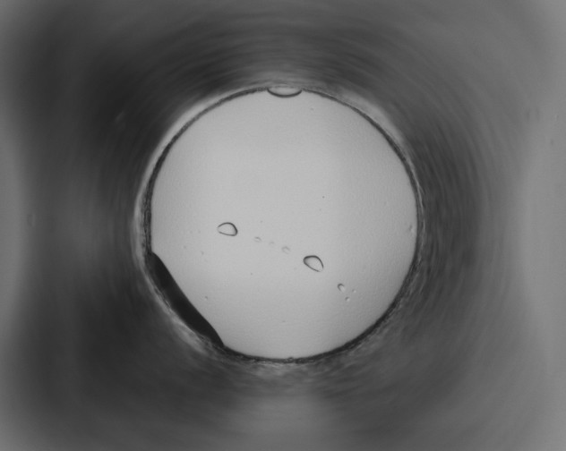 X0000086801056200705111831