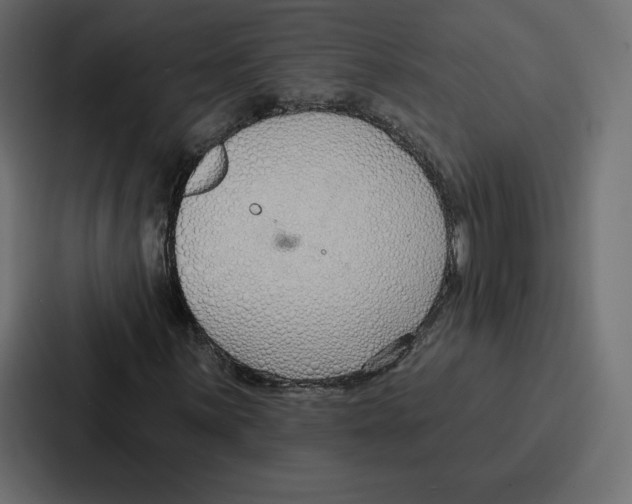 X0000086801059200705111831