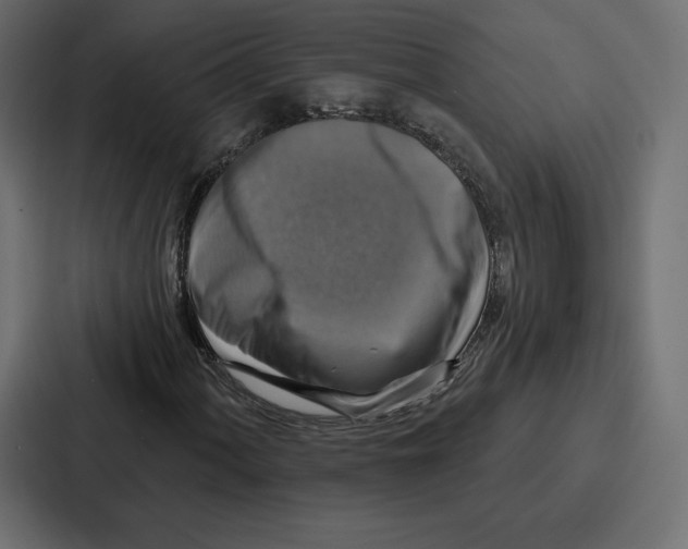 X0000086801060200705111831