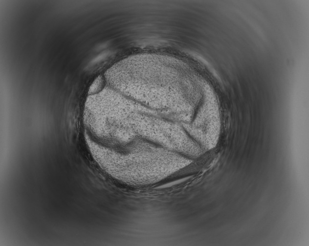 X0000086801063200705111831