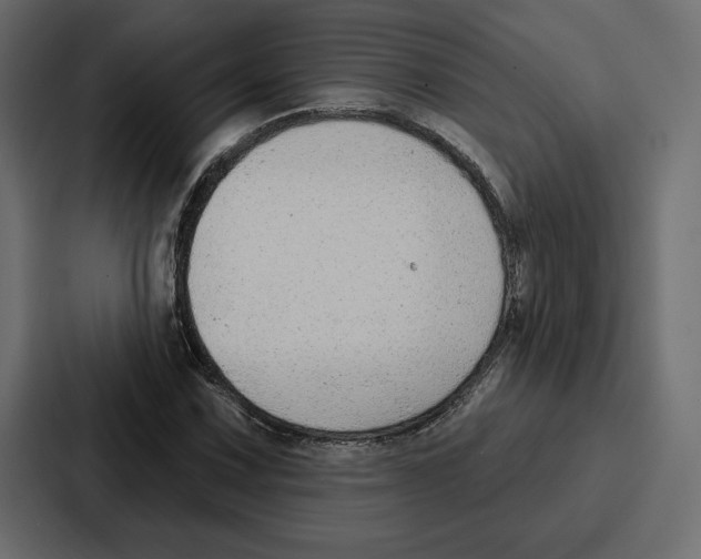 X0000086801067200705111830