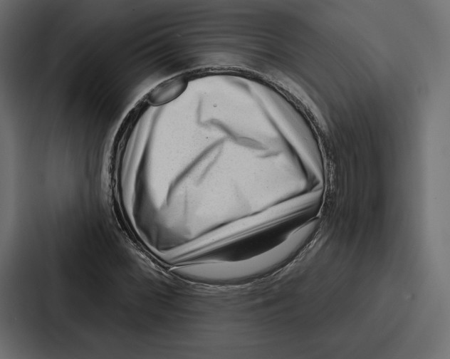 X0000086801068200705111830