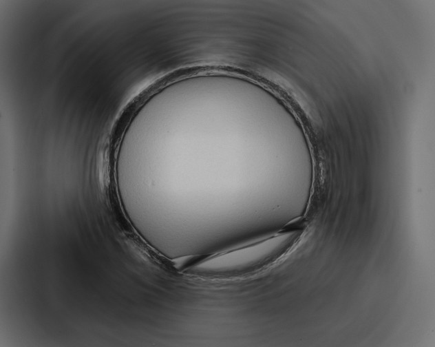 X0000086801069200705111830