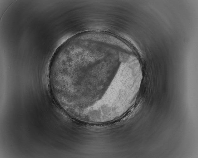 X0000086801071200705111830