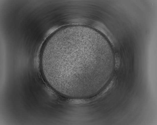 X0000086801074200705111830