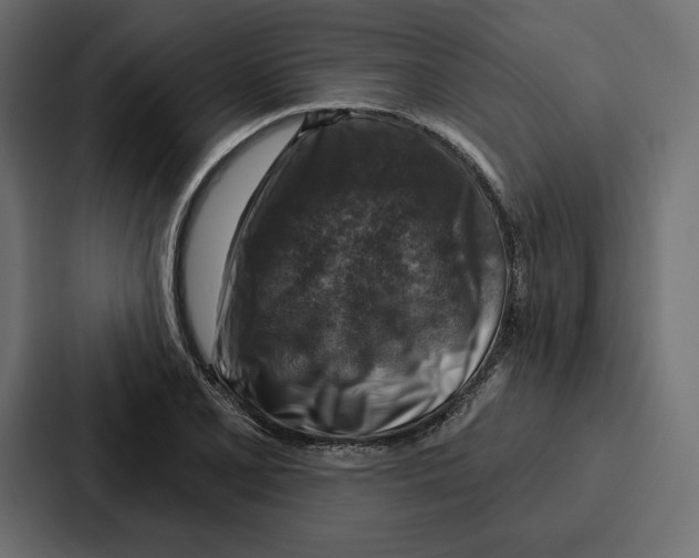 X0000086801077200705111830