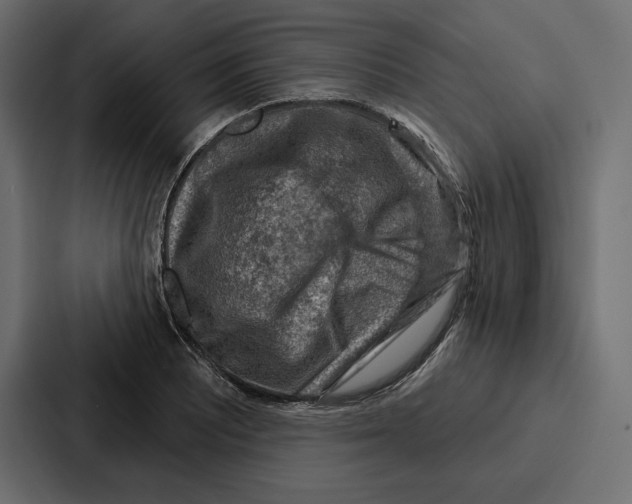 X0000086801081200705111830