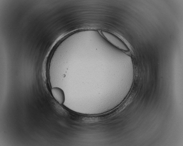 X0000086801083200705111830