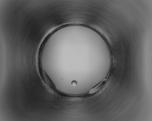 X0000086801085200705111830