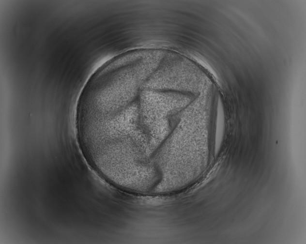 X0000086801087200705111830