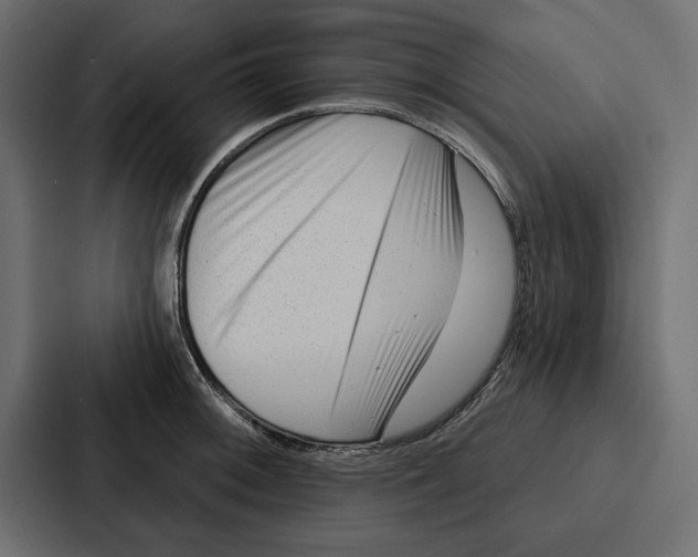 X0000086801092200705111830