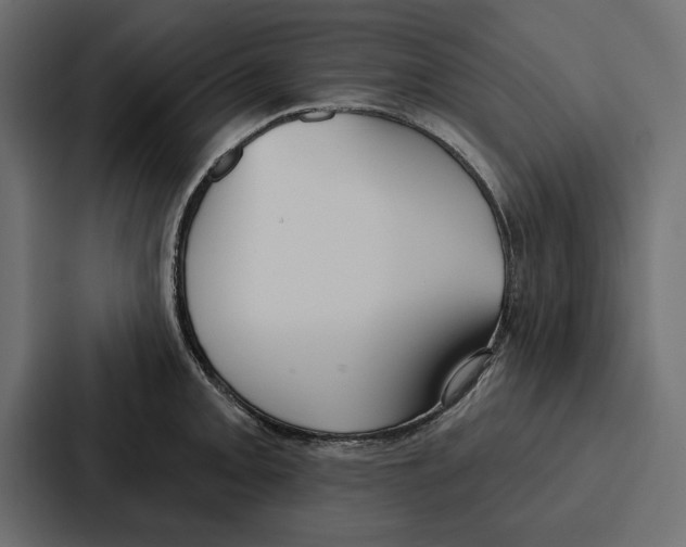 X0000086801093200705111830