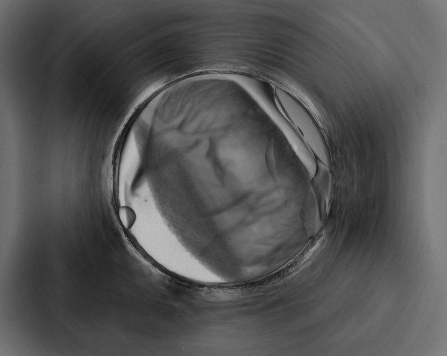 X0000086801095200705111830