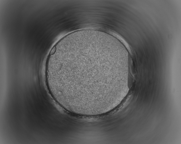 X0000086801099200705111830