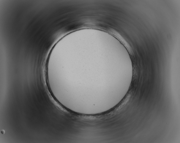 X0000086801100200705111830