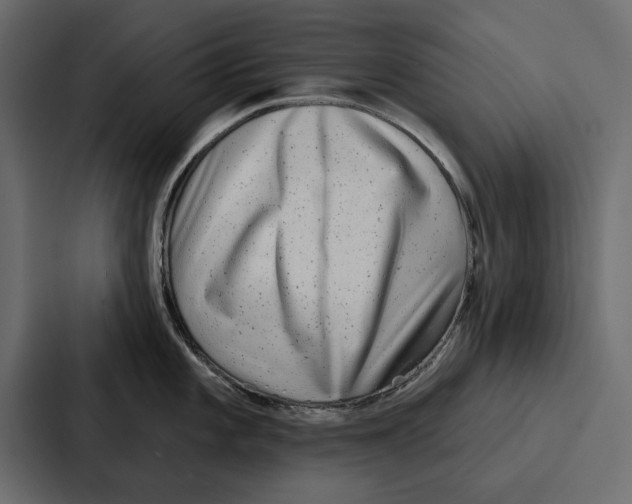 X0000086801101200705111830