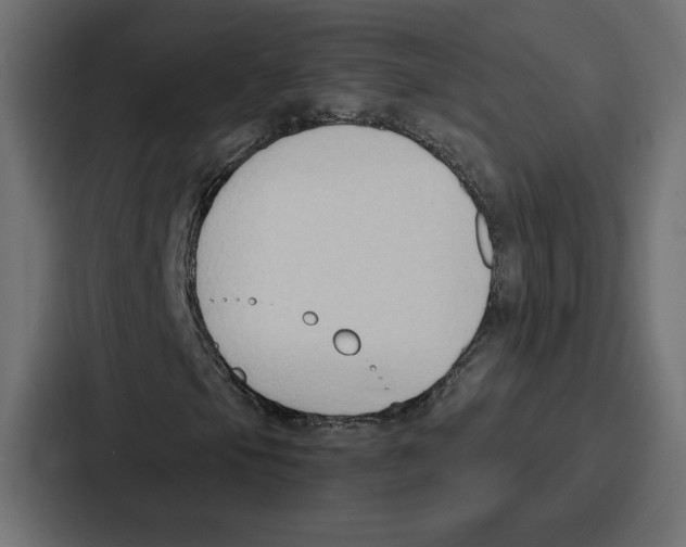 X0000086801105200705111829