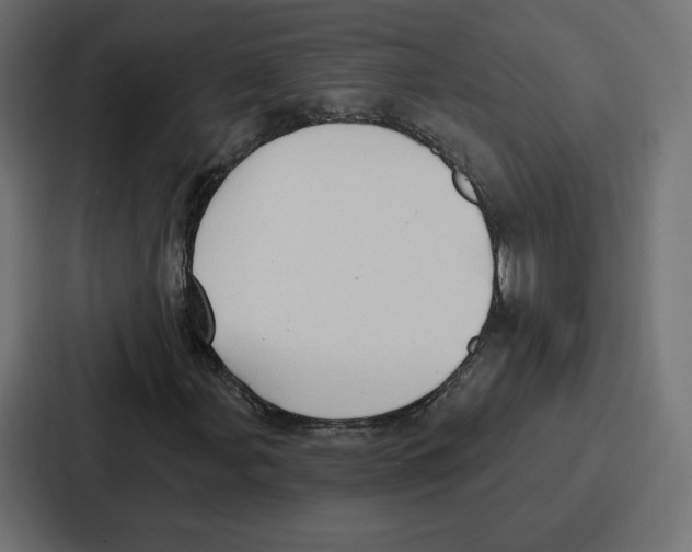 X0000086801107200705111829