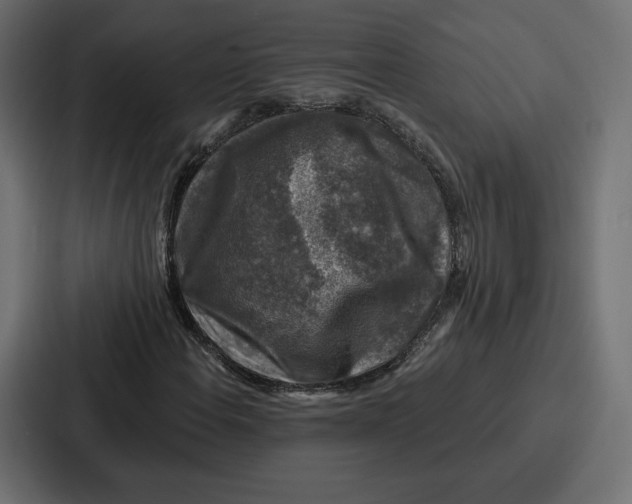 X0000086801108200705111829