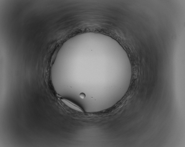 X0000086801109200705111829