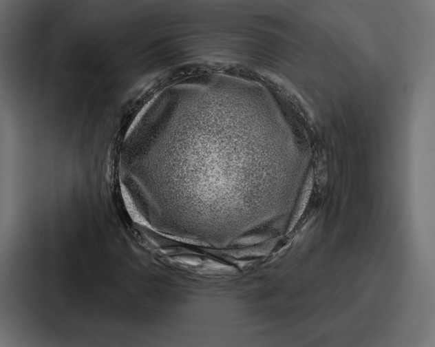 X0000086801110200705111829