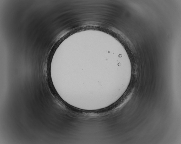 X0000086801113200705111829