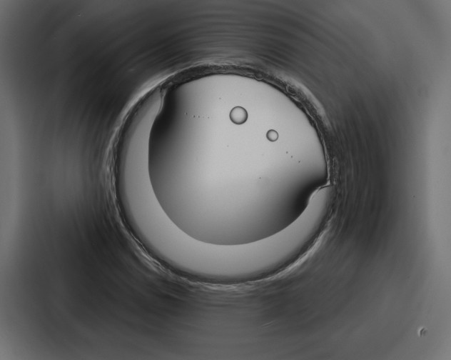 X0000086801114200705111830