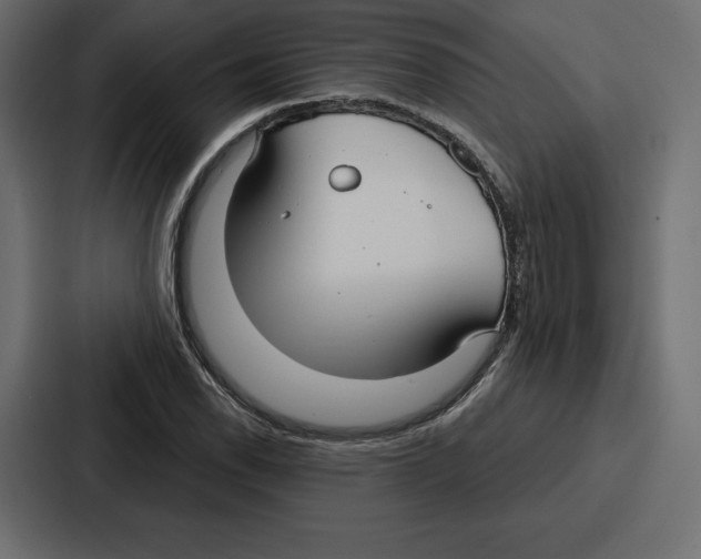 X0000086801118200705111830