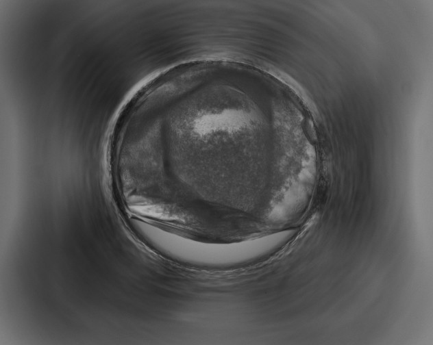 X0000086801120200705111830