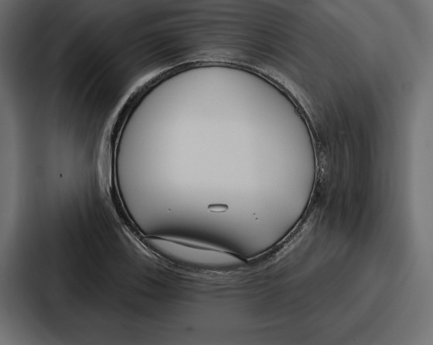 X0000086801123200705111830