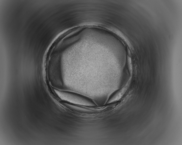 X0000086801124200705111830