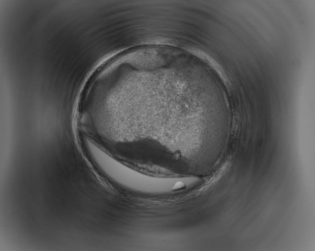 X0000086801125200705111830