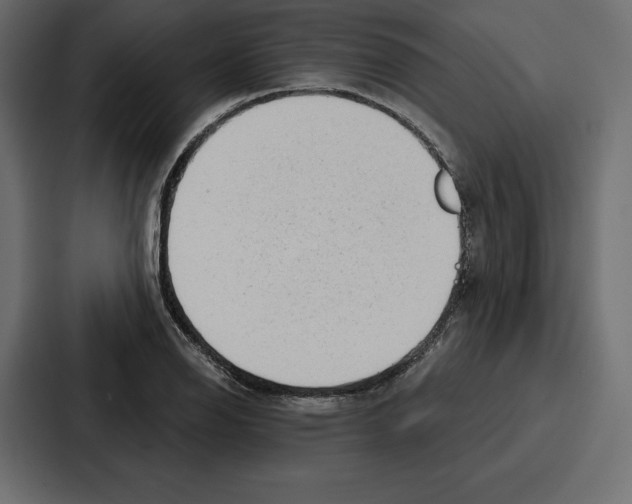 X0000086801126200705111830