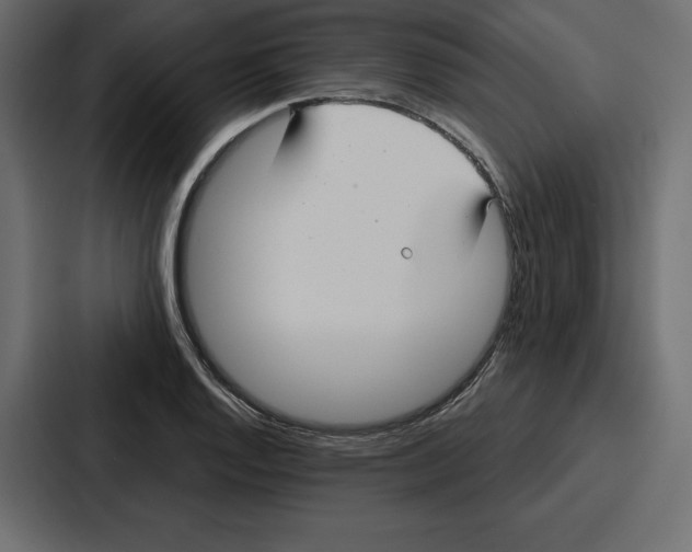 X0000086801128200705111830