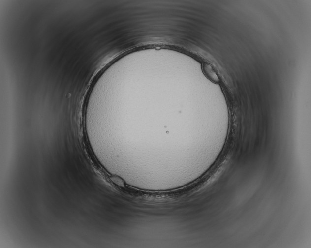 X0000086801129200705111830