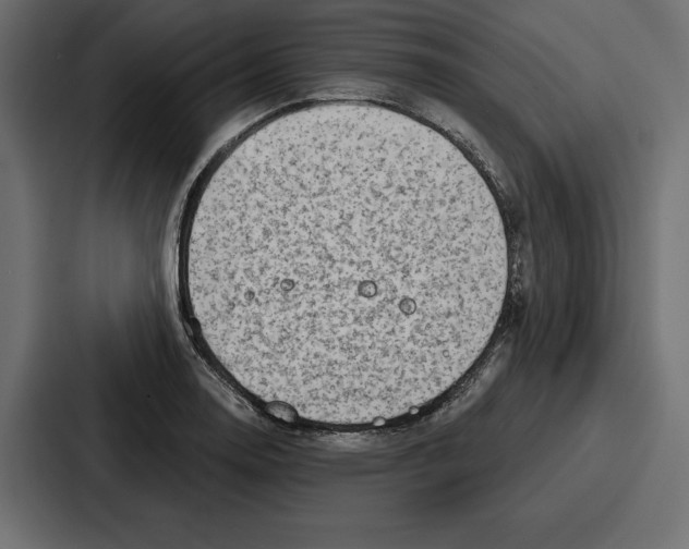 X0000086801130200705111830