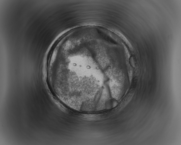 X0000086801132200705111830