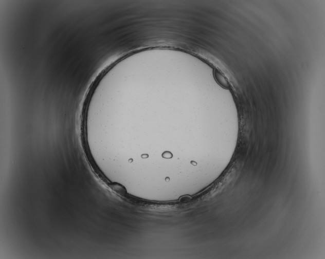 X0000086801135200705111830