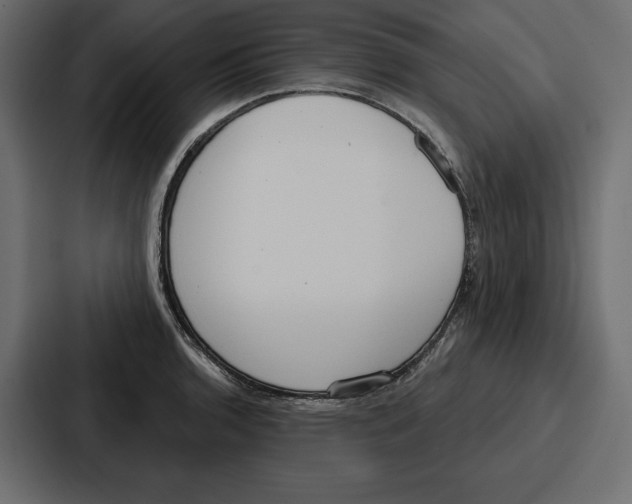 X0000086801136200705111830