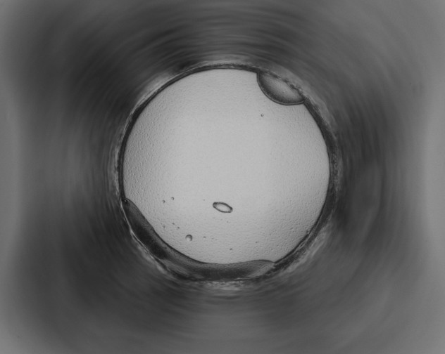 X0000086801137200705111830