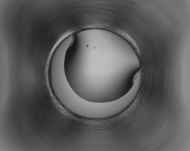 X0000086801138200705111830