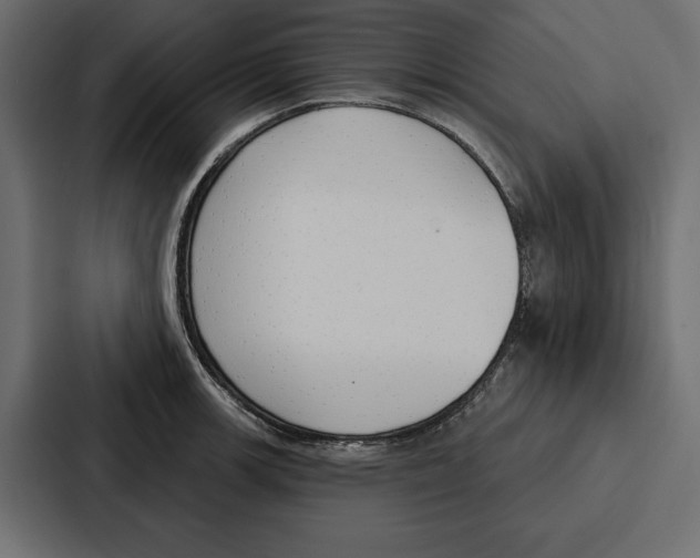 X0000086801139200705111830